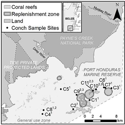 Shell Lip Thickness Is the Most Reliable Proxy to Sexual Maturity in Queen Conch (Lobatus gigas) of Port Honduras Marine Reserve, Belize; Informing Management to Reduce the Risk of Growth Overfishing